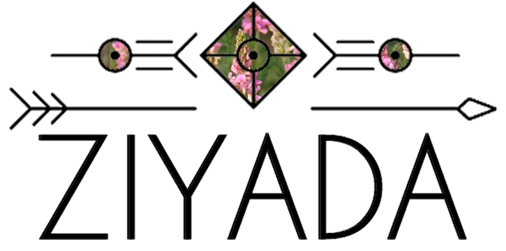 ziyada company logo with white sainfoin flowers merged into tribal graphic
